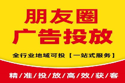 百度广告投放策略与效果评估案例