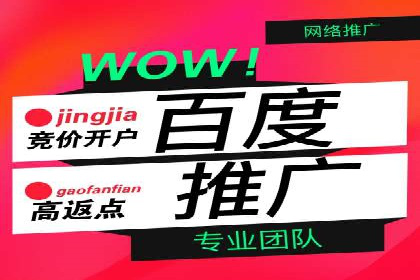 数据分析助力信息流广告：某品牌成功案例揭秘